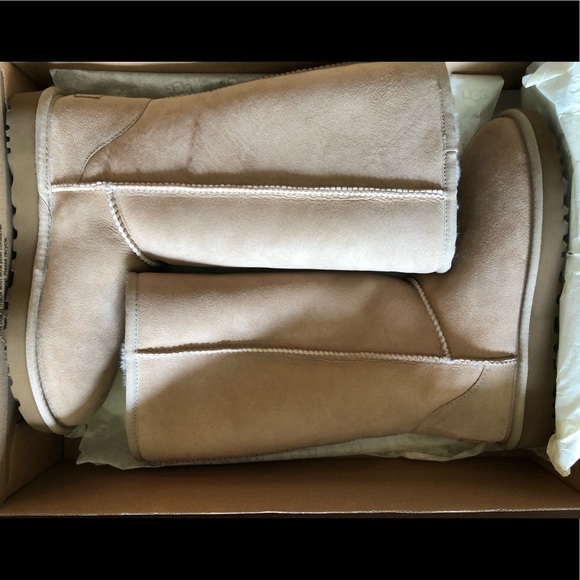 Classic Tall Uggs (Brand New!) - Picture 1 of 3